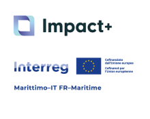 IMPACT +
